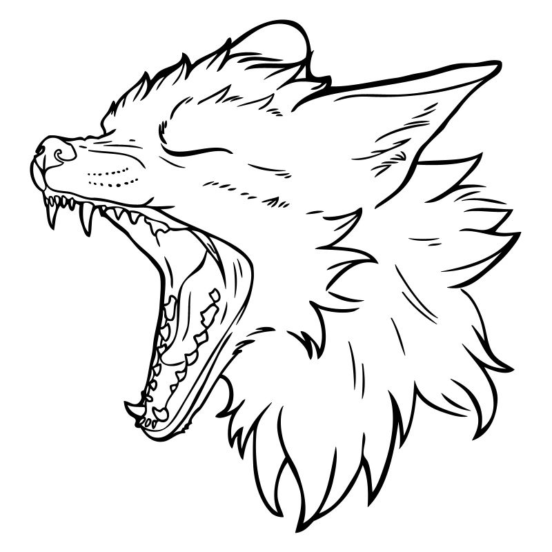 Fox Scream