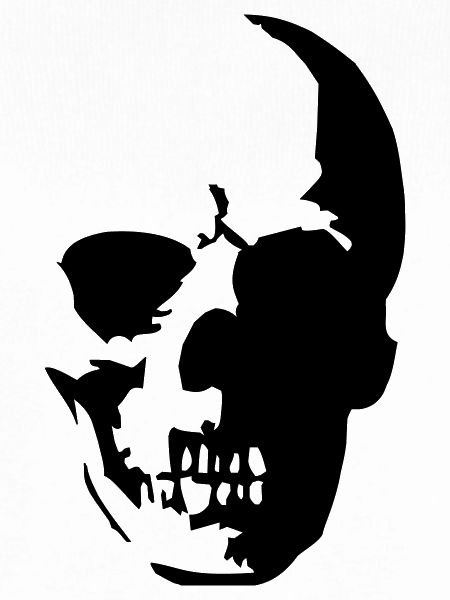 Skull Shadow