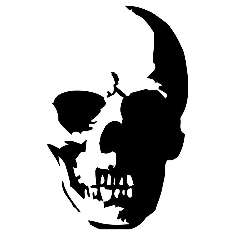 Skull Shadow