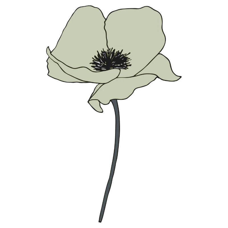 mohnblume beige