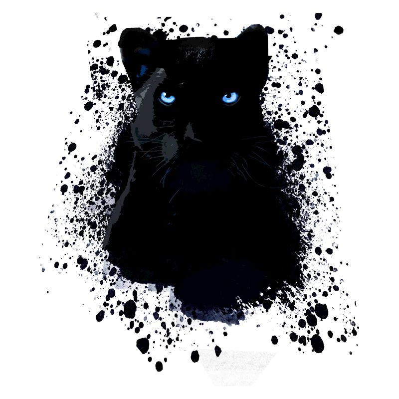 panthère noire, panthère, chat, emo, punk, graffiti