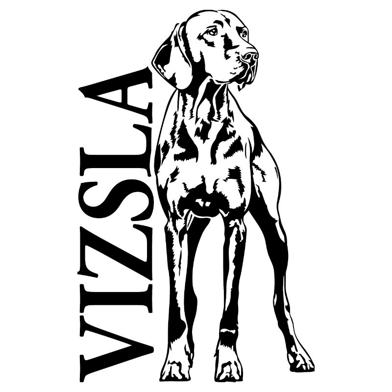 Vizsla Portrait Jagdhund Hunde Wilsigns