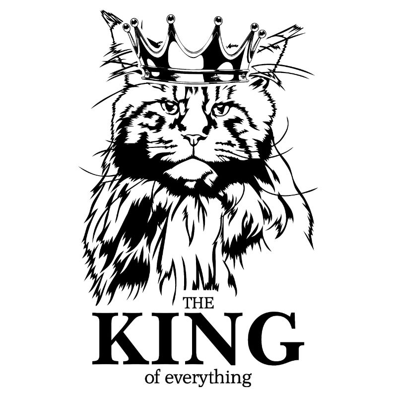 Maine Coon Roi de tout Chat Dire Chat