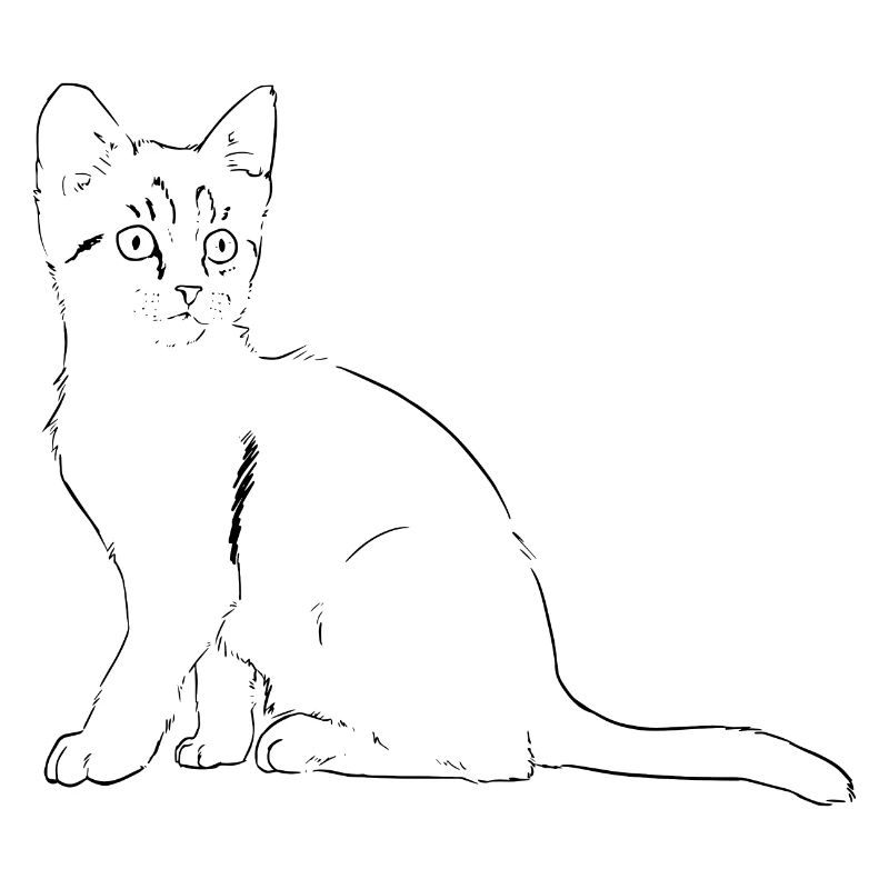 chat Illustration