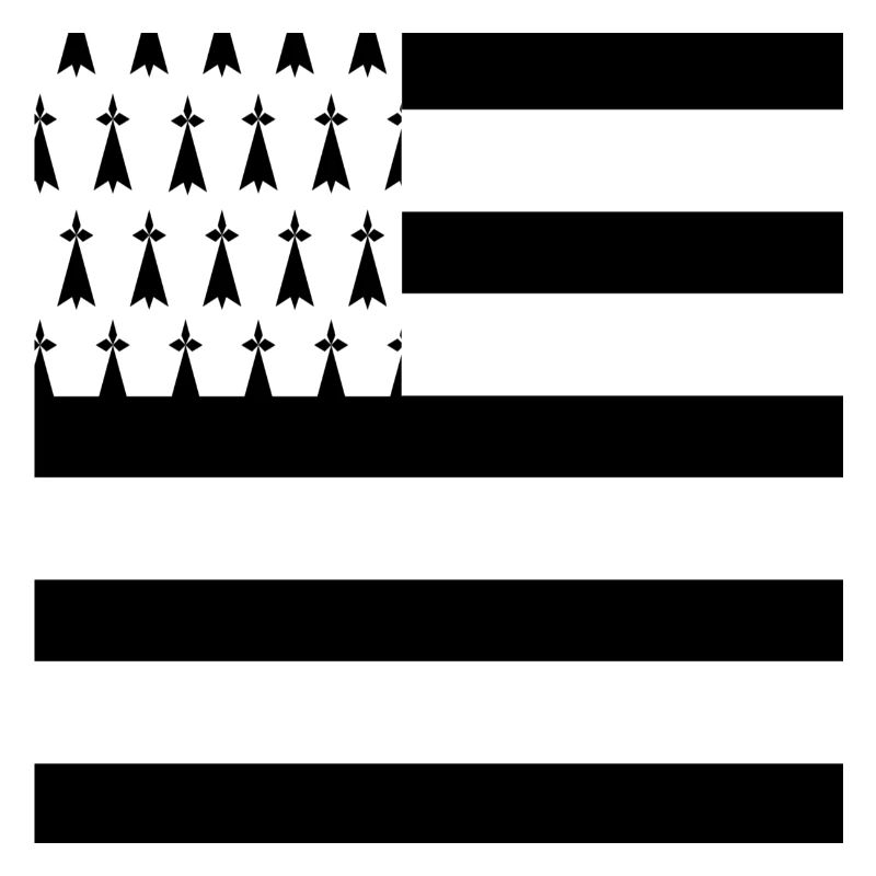 Masque drapeau Breton