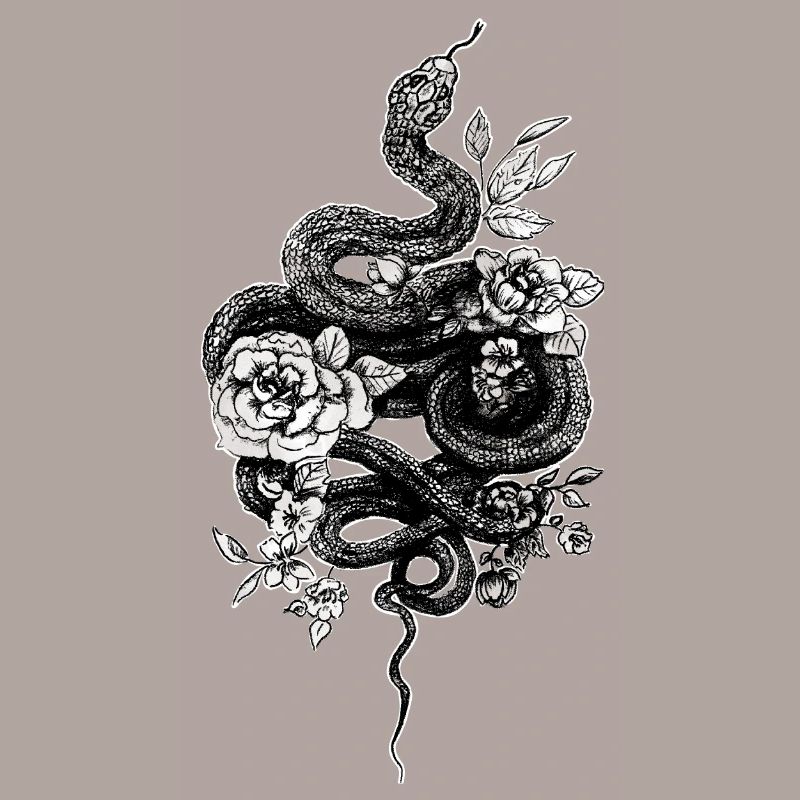 Snake - Ball Python - Retro Tattoo Look