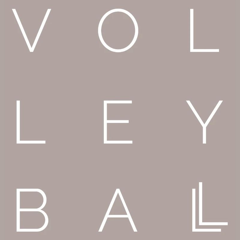 volleyball icon Logo icon idea font Vector