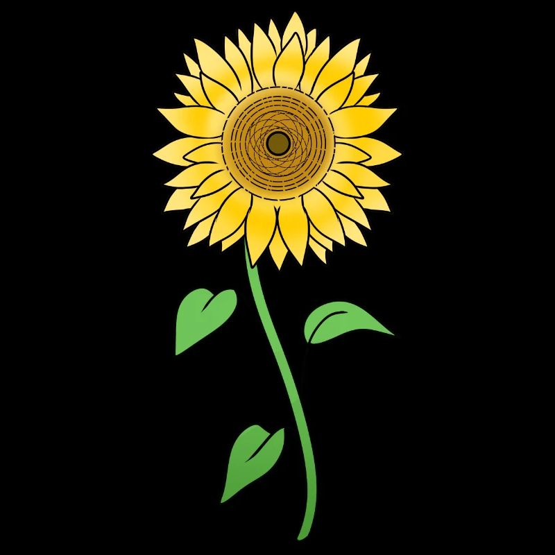 Sonnenblume