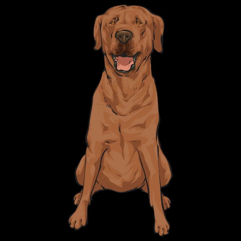 Foxred Labrador Fox Red Labrador Retriever