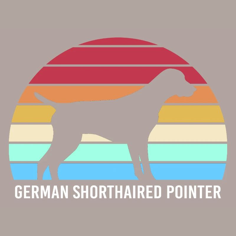 Deutsch Kurzhaar Hund German Pointer