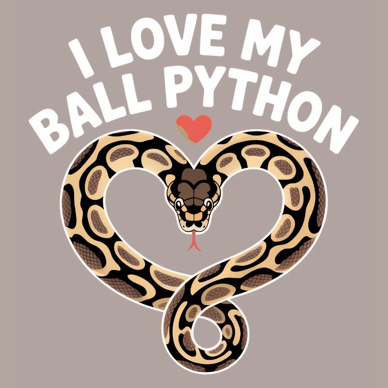 J’adore mon python royal ! Roi python