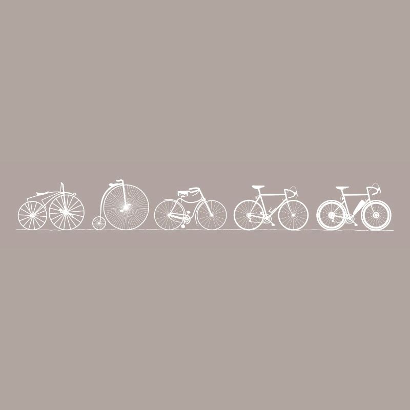 Evolution Bicycle - Old - History - Invention
