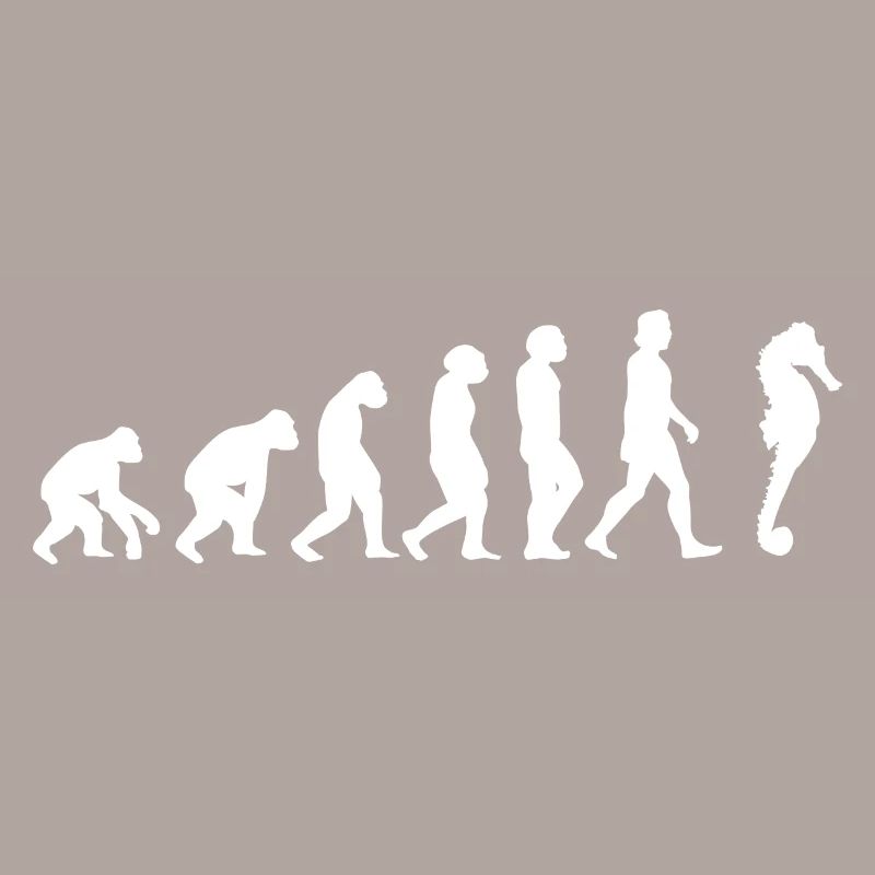 Seepferdchen Meerestier Evolution der Menschen