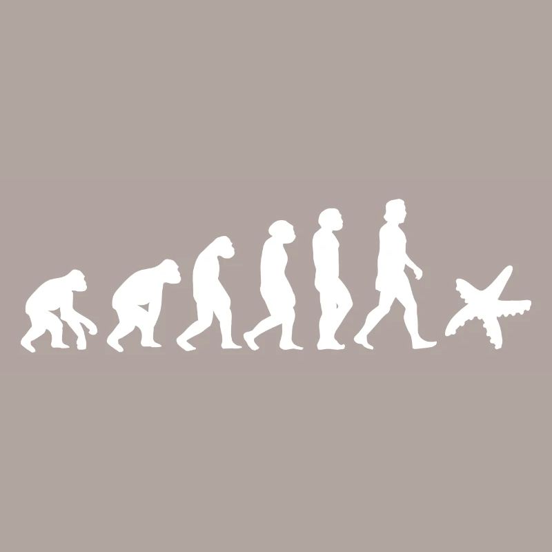 Seestern Meerestier Evolution der Menschen Tiere