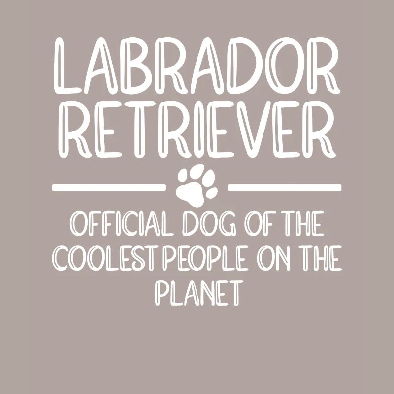 Labrador Hunde