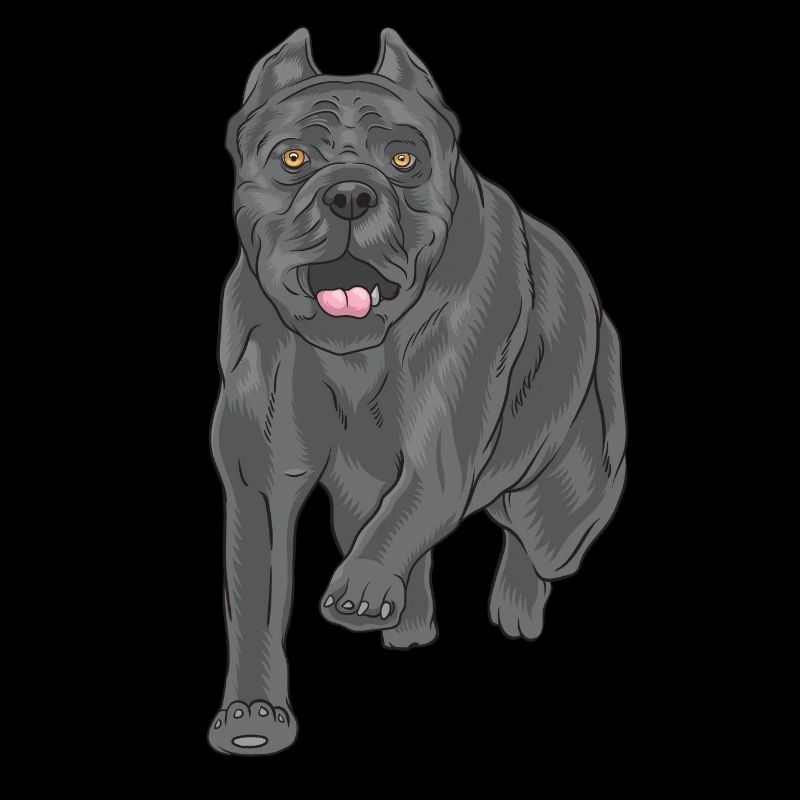 Glücklicher Cane Corso