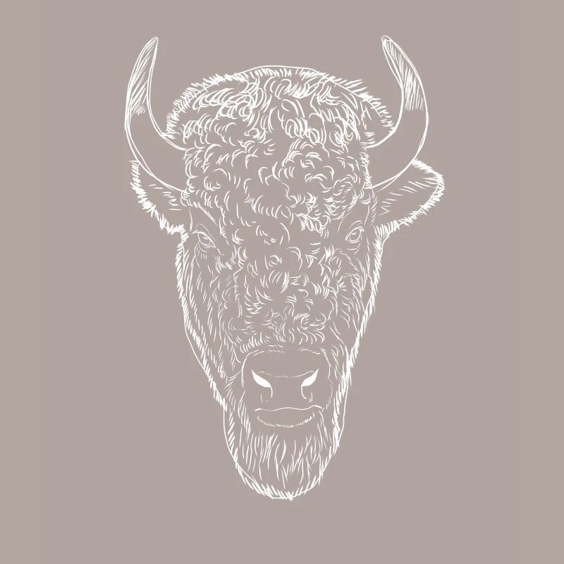 Bison