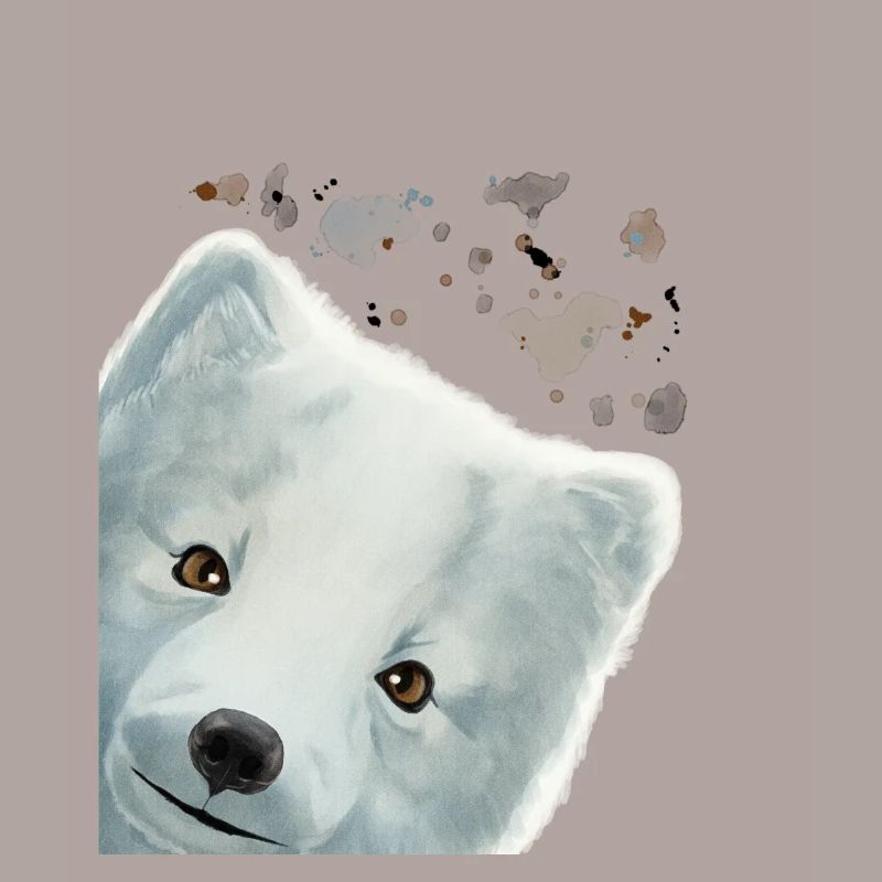 Neugieriger Polarfuchs