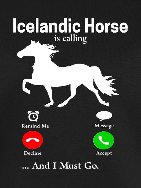 Islandpferd