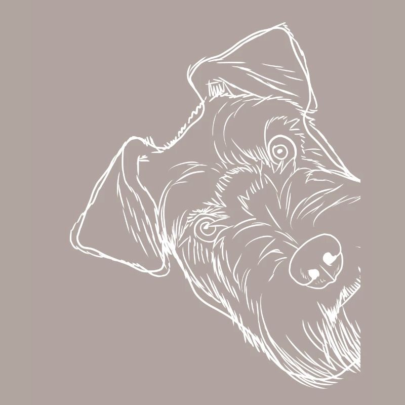 Neugieriger Schnauzer Hund