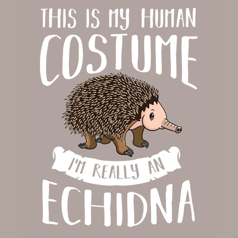 Echidna ameisenigel Schnabeligel Drôle de hérisson