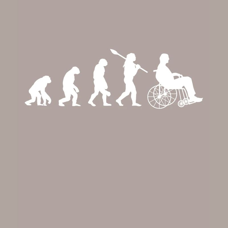 Rollstuhl Evolution Handicap Motivation