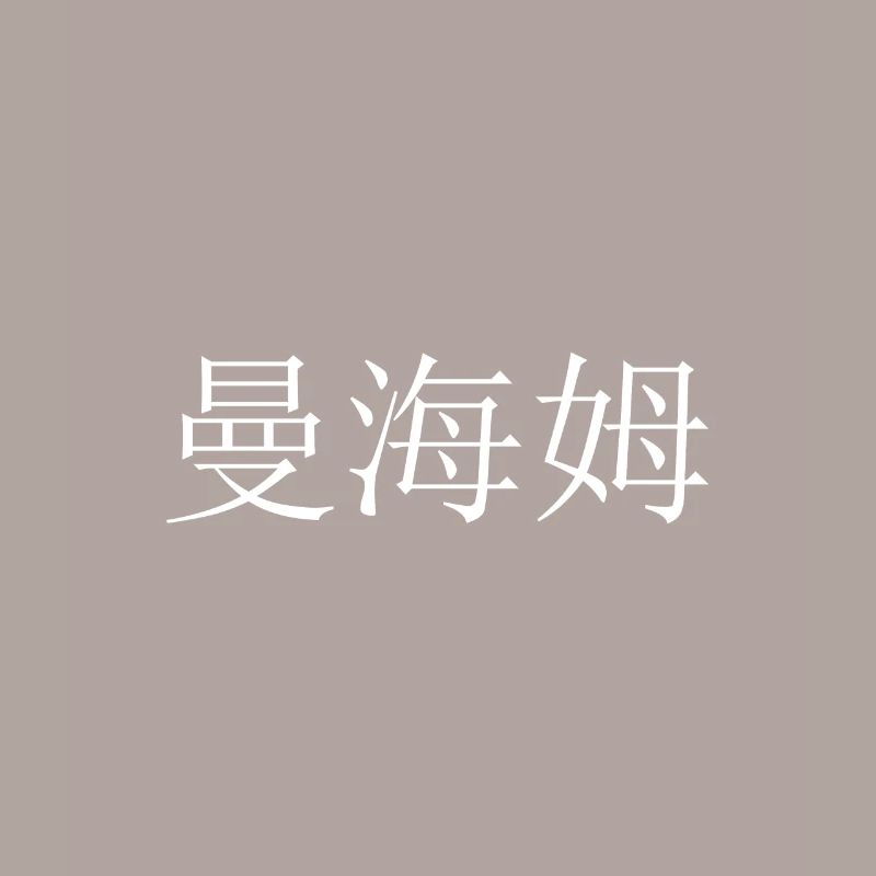 Mannheim chinesisch
