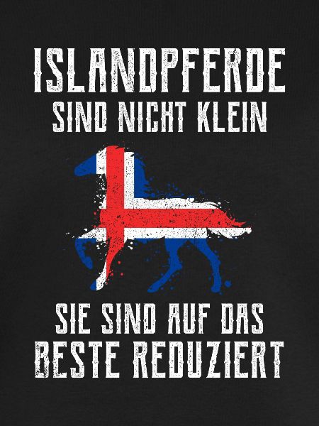 Islandpferd