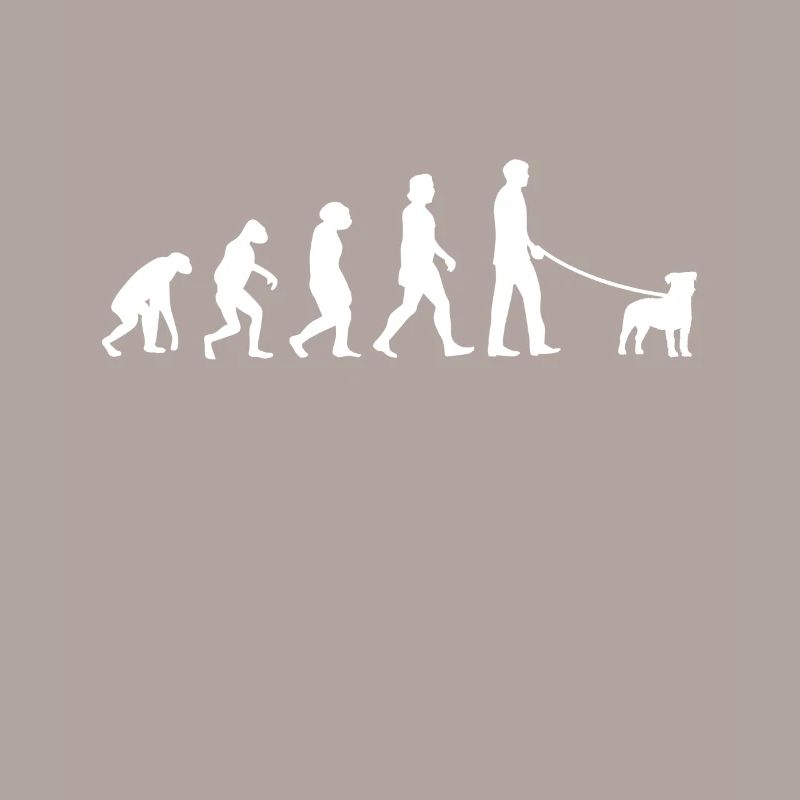 Parson Russell Terrier Evolution