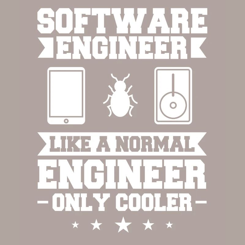 Software Engineering Softwaretechnik Ingenieur