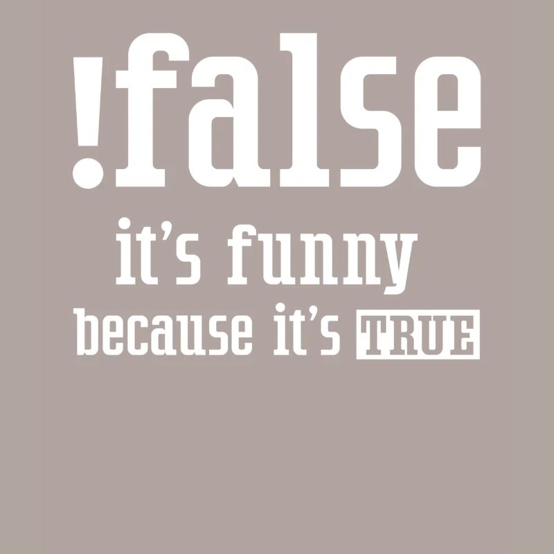 False It's Funny Because It's True False True