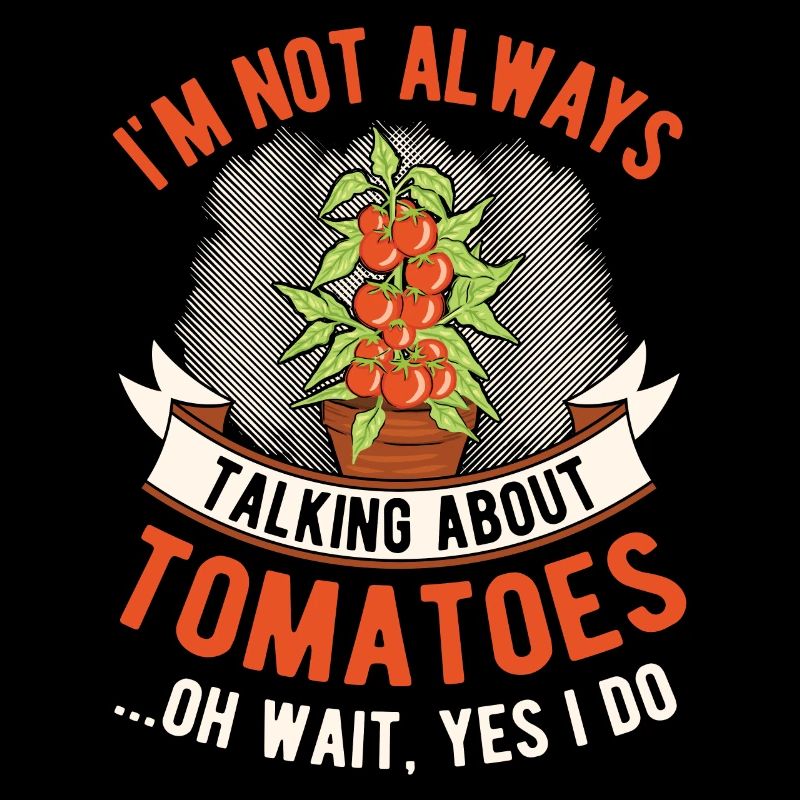 Tomate Cadeau Tomate Grower Tomates