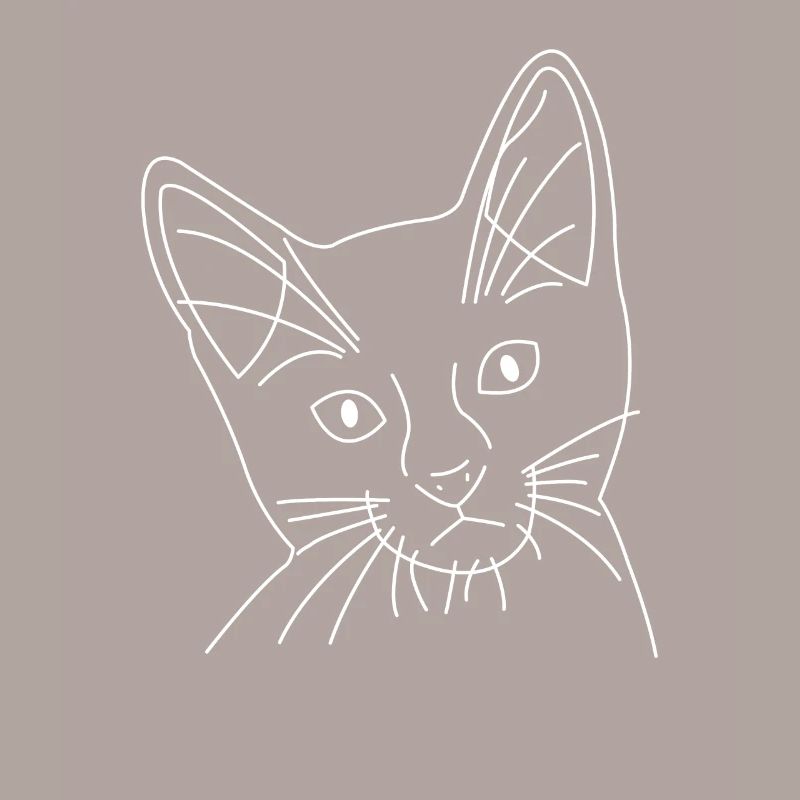 Visage de chat de chat dessiné