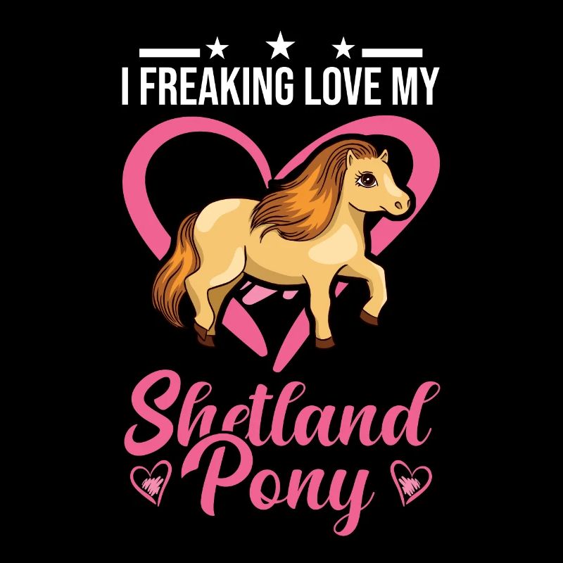 Shetland Pony Cadeau Shetty