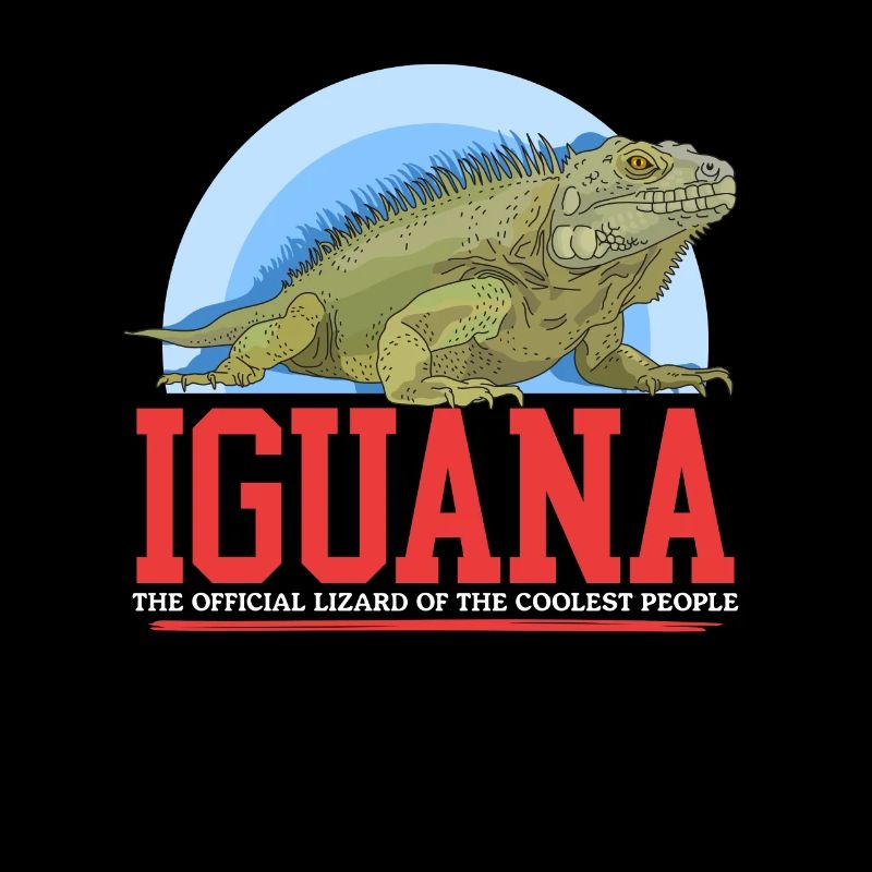 Leguan Reptilien Eidechse Leguane Geschenk