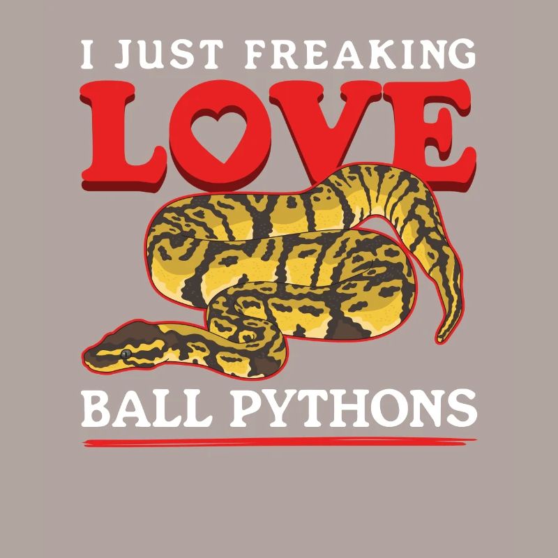 Königspython Schlangen Python Geschenke