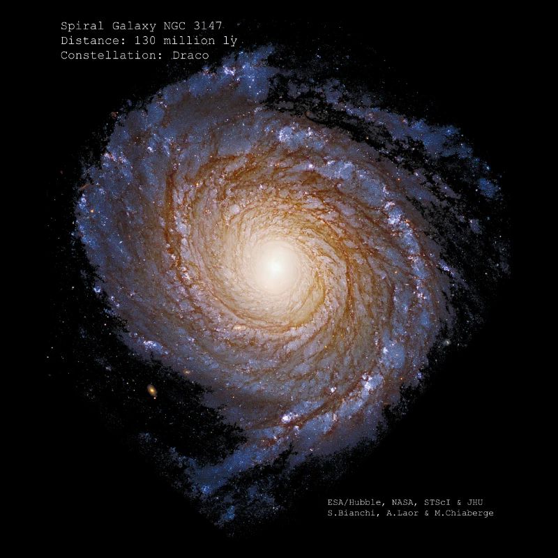 Galaxie spirale NGC 3147