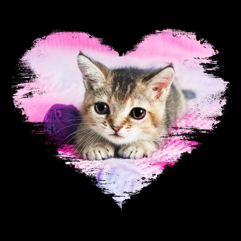 doux chaton dans un cœur