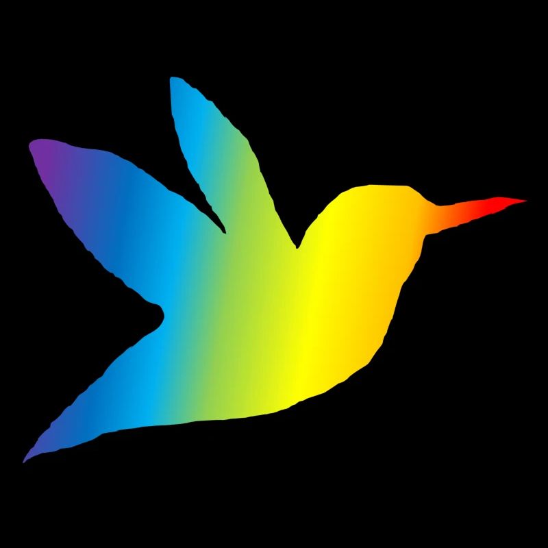 Kolibri bunt