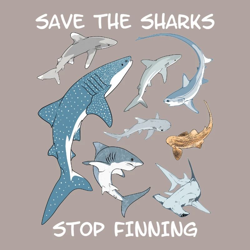 Types de requins Espèces de requins