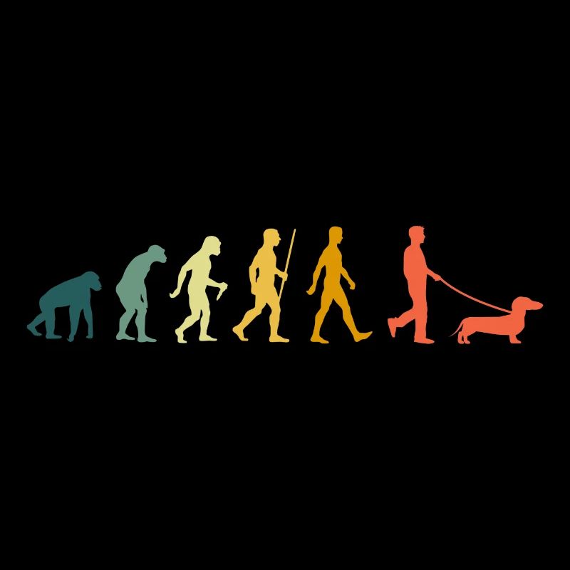 Teckel Evolution propriétaire de teckel rétro