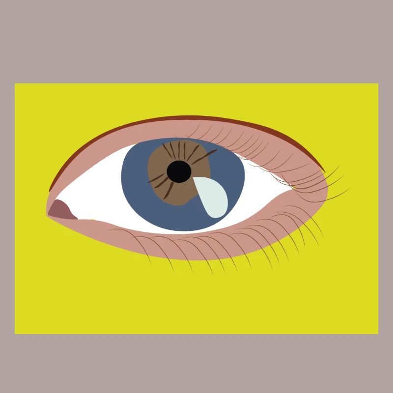 Oeil