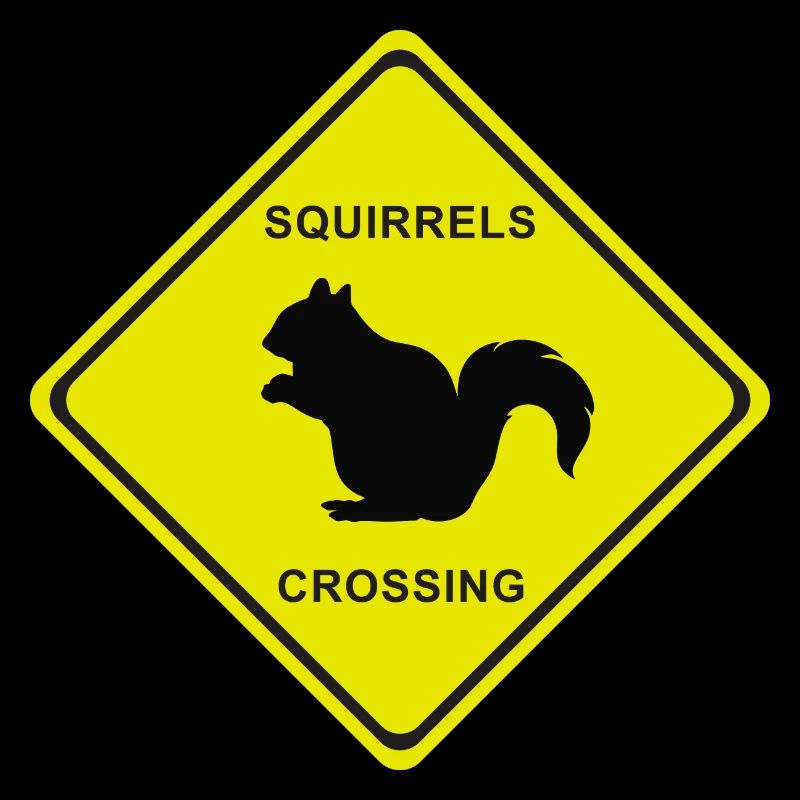 SQUIRRELS SCROSSING