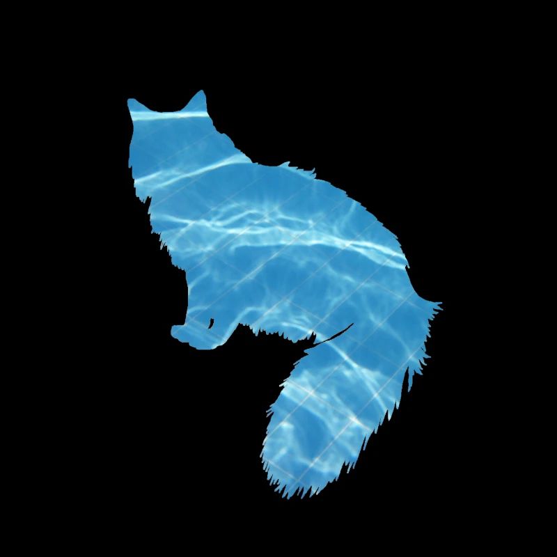 Katze Wasser