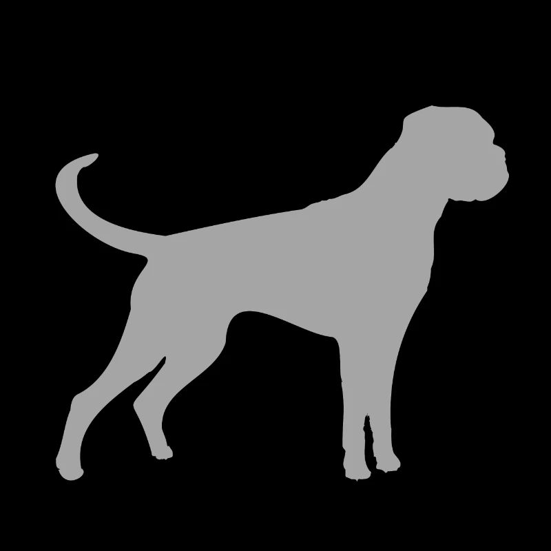 Boxer Grau