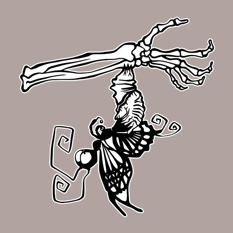 Papillon sort du cocon