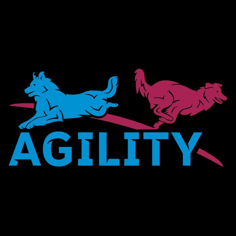 AGILITY
