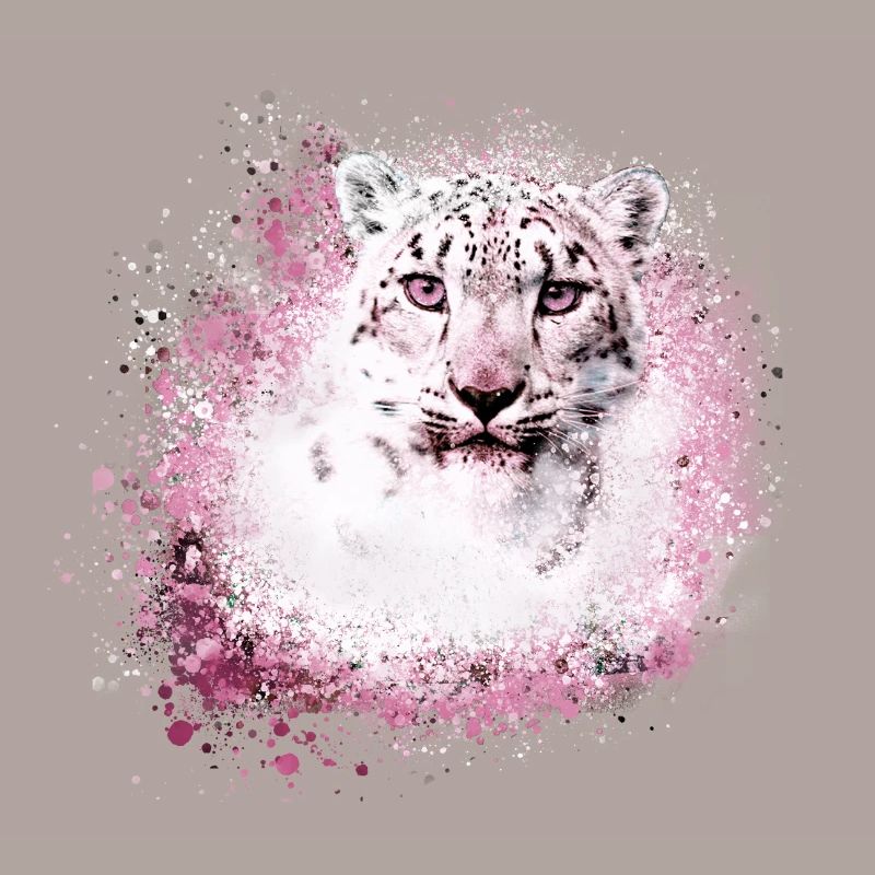 snow leopard,cat,leopard,white,wildcat