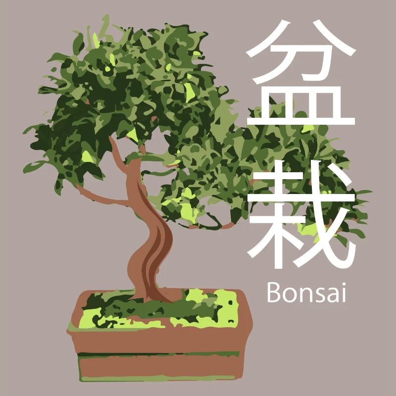 Bonsai Tree Plants