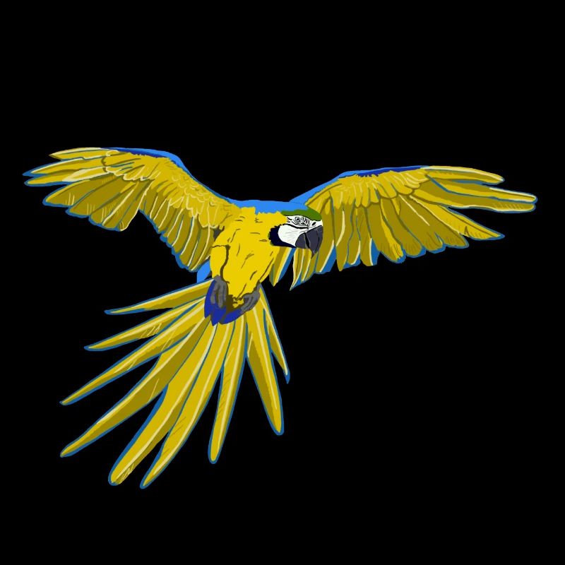 Yellow-breasted macaw in flight Ara ararauna